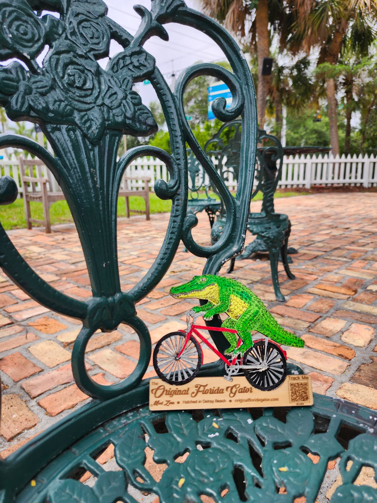 User sighting photo