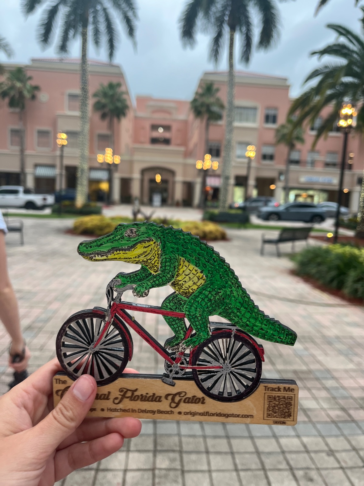 User sighting photo